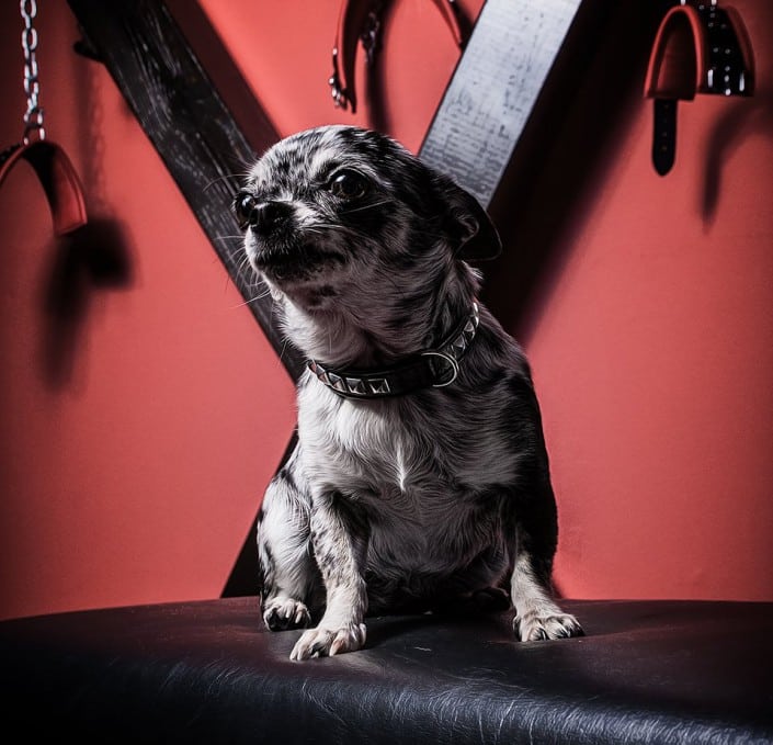 Photoshootings, Yoda im SM-Zimmer